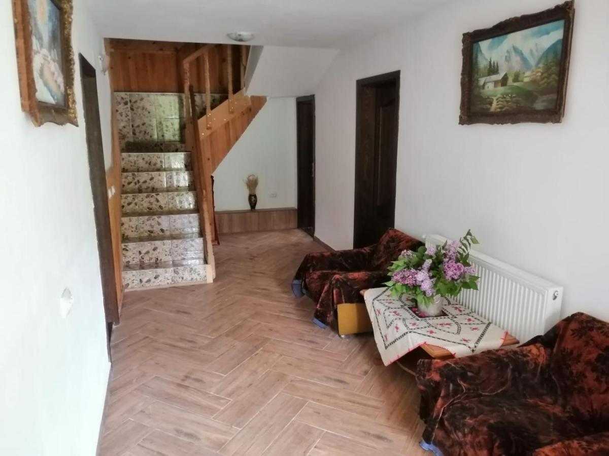 Casa Dorina Villa Bran  Eksteriør billede