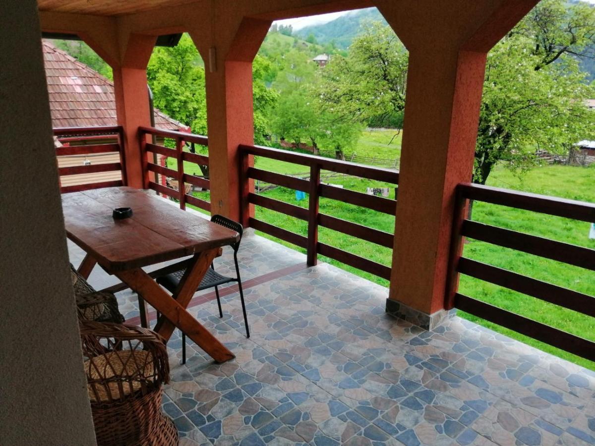 Casa Dorina Villa Bran  Eksteriør billede