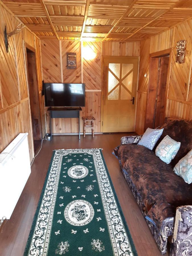 Casa Dorina Villa Bran  Eksteriør billede