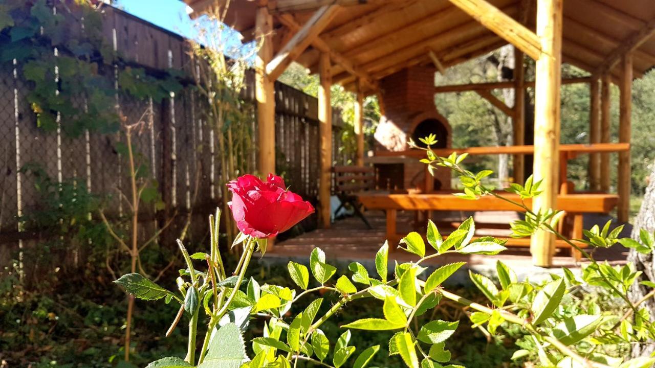 Casa Dorina Villa Bran  Eksteriør billede