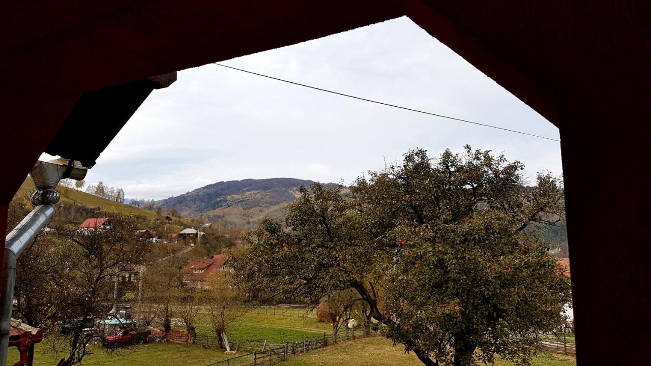 Casa Dorina Villa Bran  Eksteriør billede